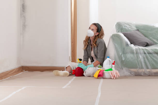 Reliable Black Mold Remediation contractor in Branchville, VA by Mold Remediation HQ